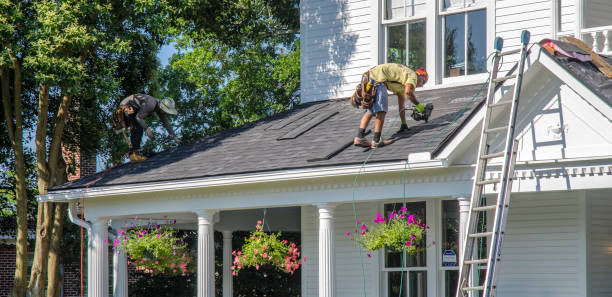 Best Roof Gutter Cleaning  in Sidney, OH